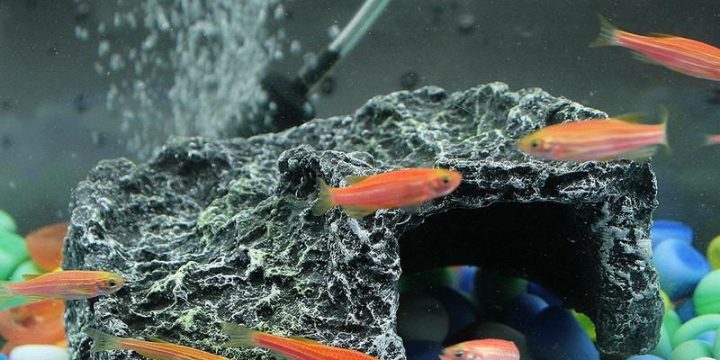 A brief guide to know about fish tank sand